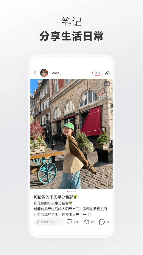 貉挖洞涌出星尘泉壁纸